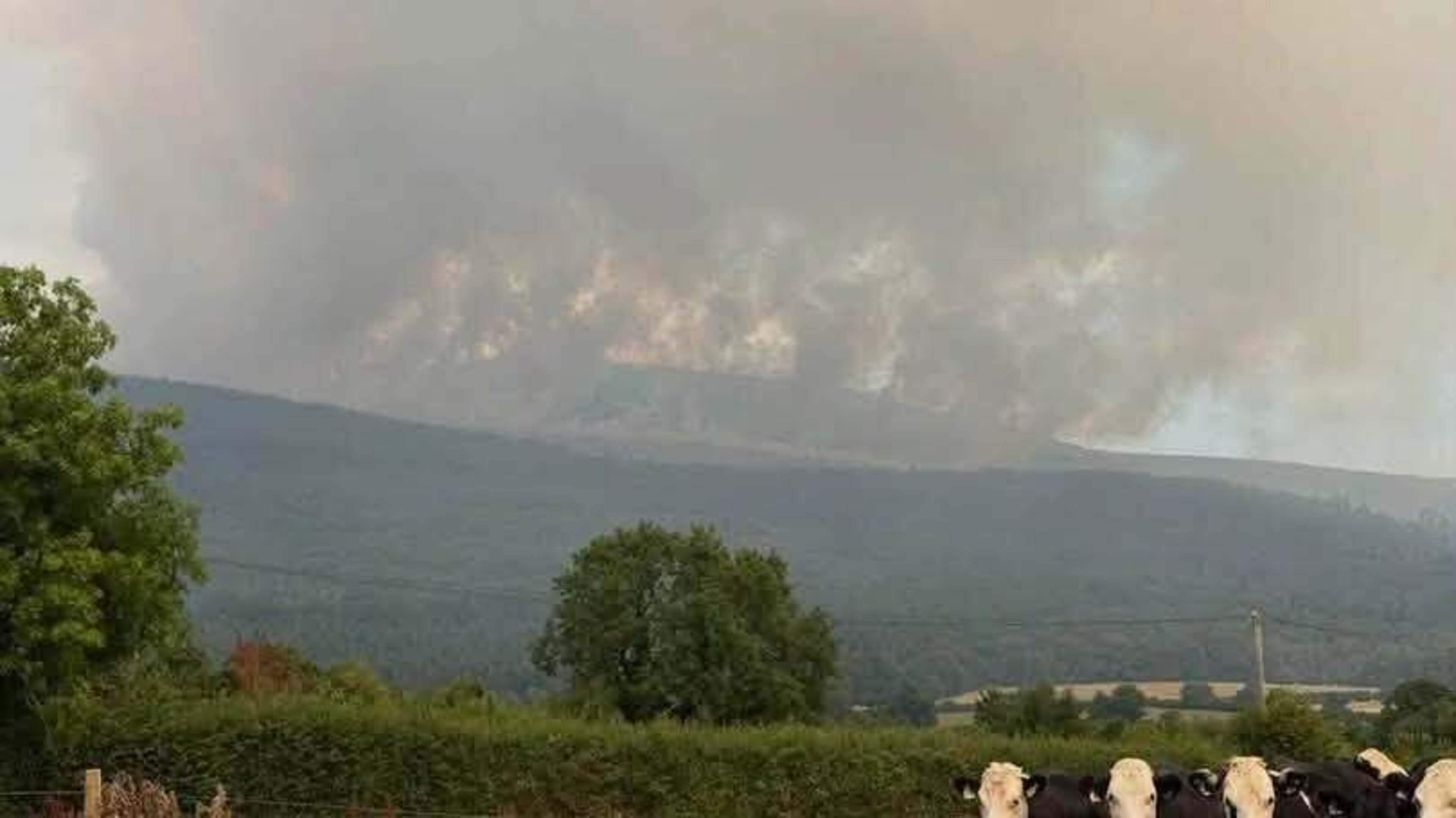 Slievenamon fire: Focus turns to localised blaze on the western side of the mountain